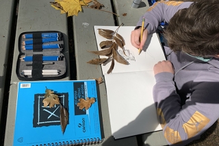 North Pole Studio Austin drawing a leaf