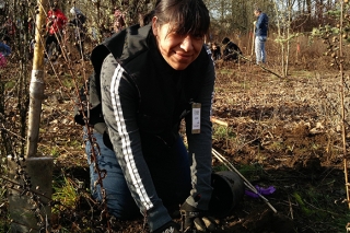 Photo of a woman planting a tree