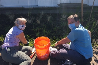 Photo of two people weeding
